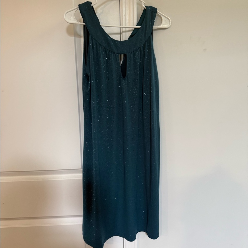 Enfocus Studio Teal Backless Dress
